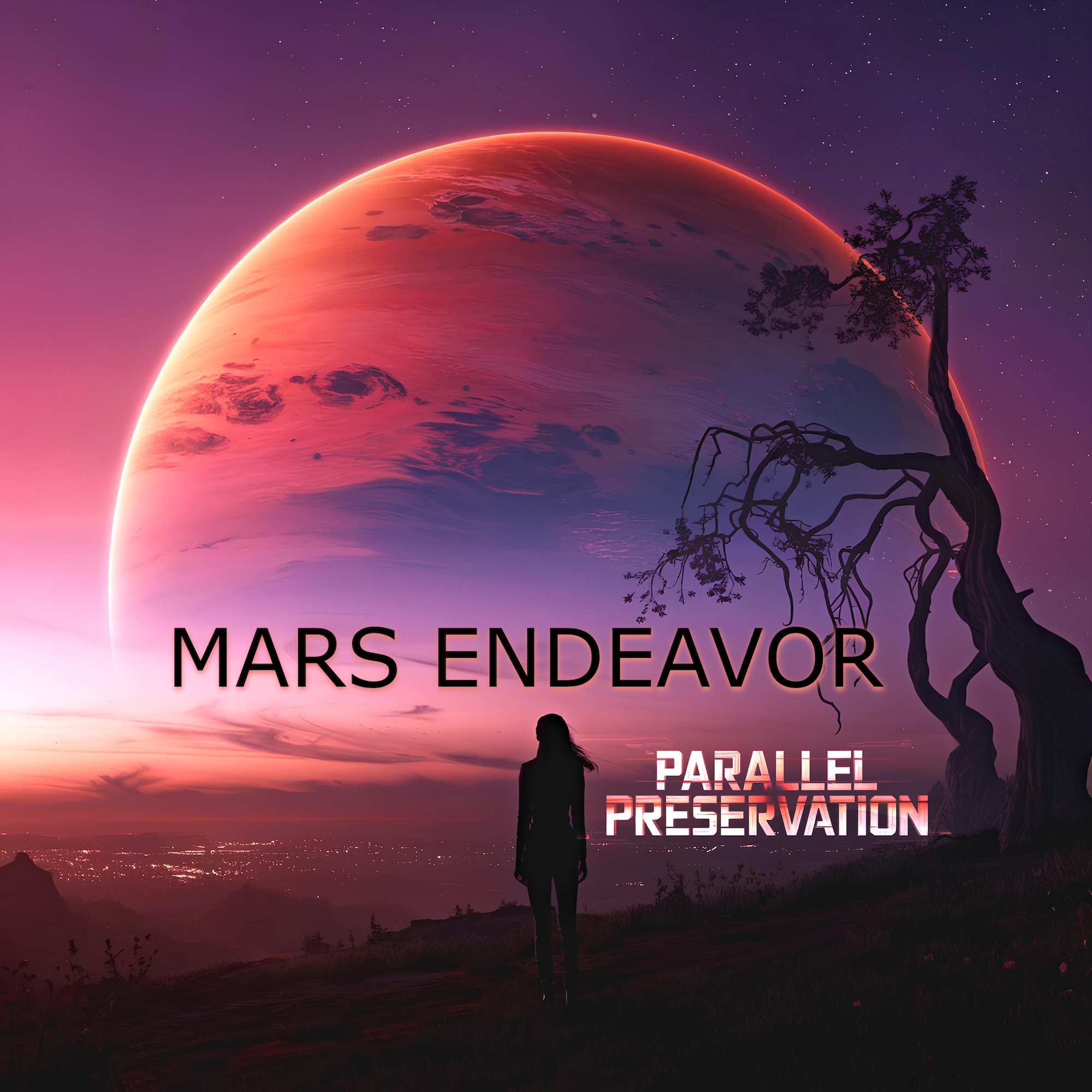 Parallel Preservation Radio